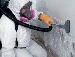 Best Environmental Consulting for Mold Prevention  in Mooreland, OK